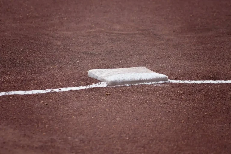 Understanding Reddybook Login: A Complete Guide for New and Experienced Users